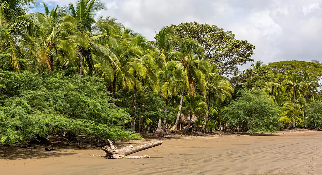 Travailler au Panama quand on est français